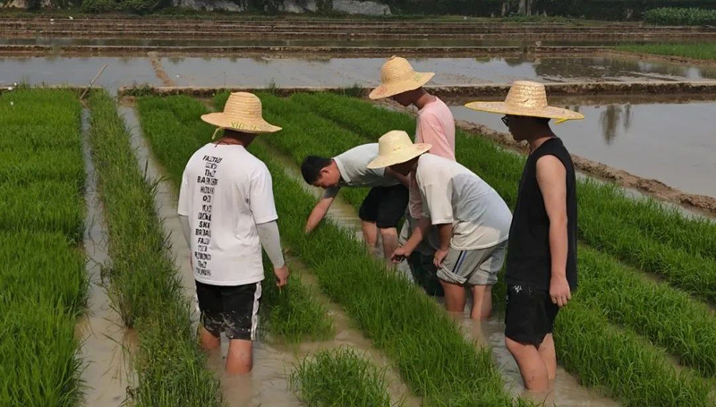 1750126285102070446.jpg 微信图片_20250617101037.jpg